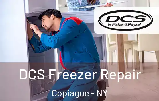  DCS Freezer Repair Copiague - NY