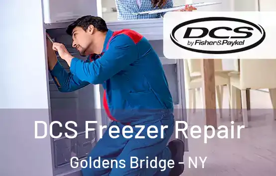  DCS Freezer Repair Goldens Bridge - NY