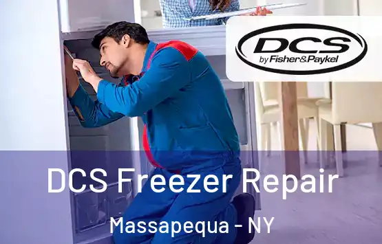  DCS Freezer Repair Massapequa - NY