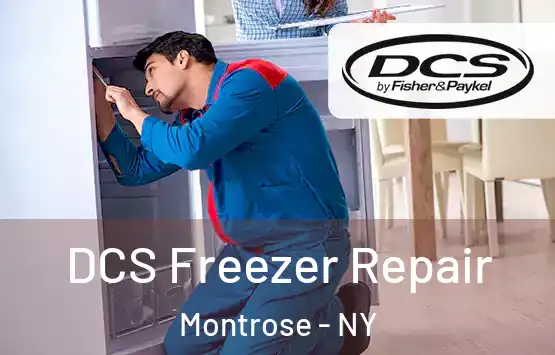  DCS Freezer Repair Montrose - NY