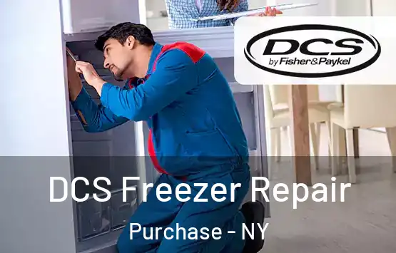  DCS Freezer Repair Purchase - NY