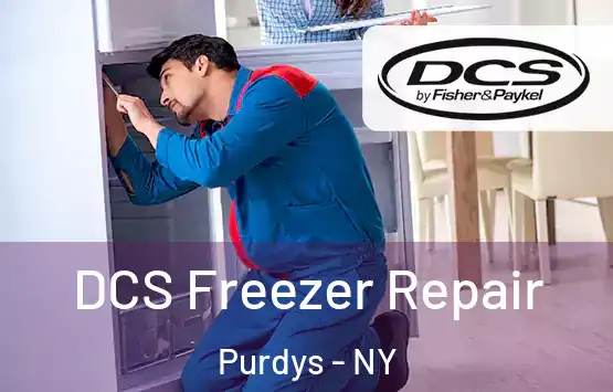  DCS Freezer Repair Purdys - NY