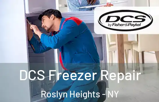  DCS Freezer Repair Roslyn Heights - NY