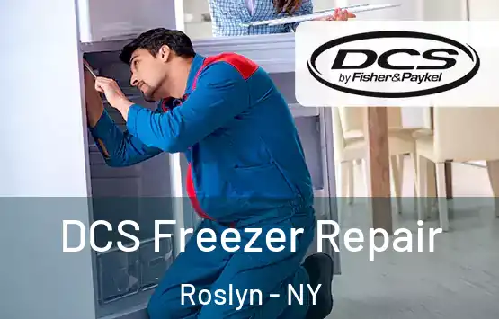  DCS Freezer Repair Roslyn - NY