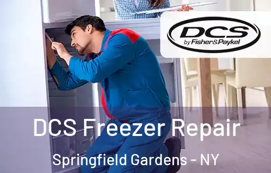  DCS Freezer Repair Springfield Gardens - NY