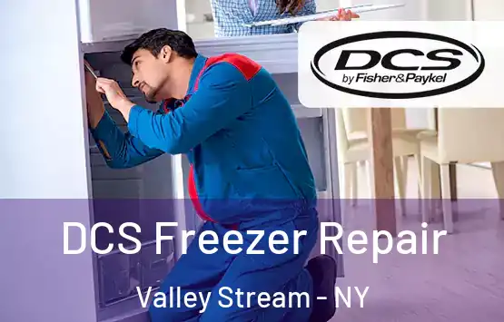  DCS Freezer Repair Valley Stream - NY