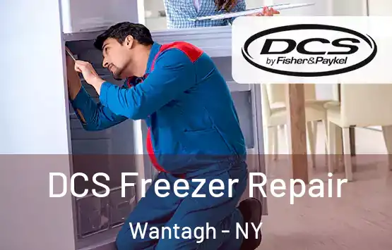  DCS Freezer Repair Wantagh - NY