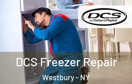  DCS Freezer Repair Westbury - NY