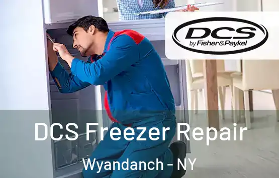  DCS Freezer Repair Wyandanch - NY