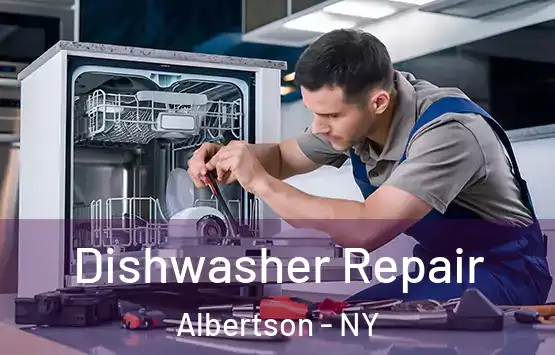  Dishwasher Repair Albertson - NY