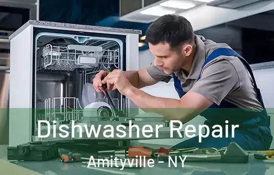  Dishwasher Repair Amityville - NY