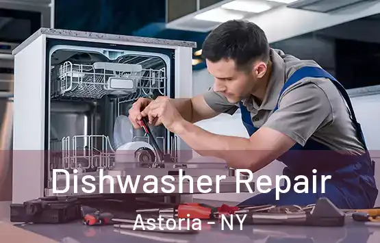  Dishwasher Repair Astoria - NY