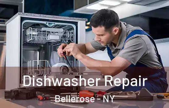  Dishwasher Repair Bellerose - NY
