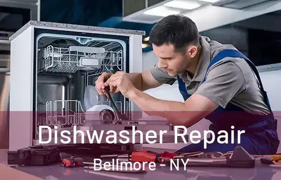  Dishwasher Repair Bellmore - NY