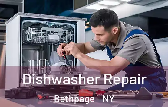  Dishwasher Repair Bethpage - NY