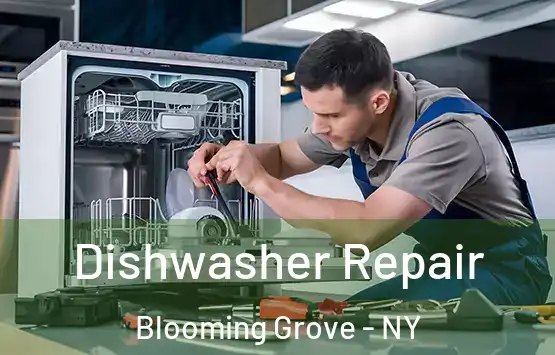  Dishwasher Repair Blooming Grove - NY