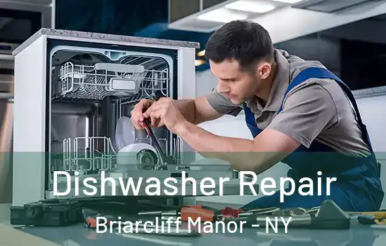  Dishwasher Repair Briarcliff Manor - NY