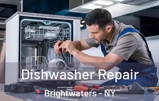  Dishwasher Repair Brightwaters - NY