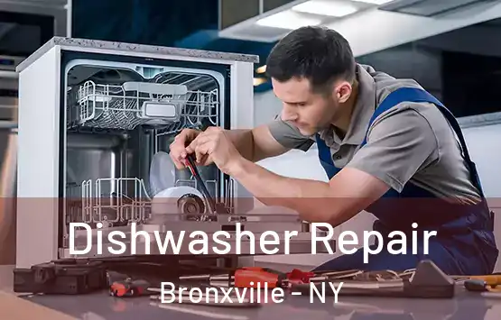  Dishwasher Repair Bronxville - NY