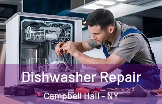  Dishwasher Repair Campbell Hall - NY