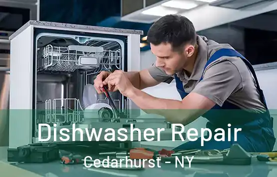  Dishwasher Repair Cedarhurst - NY