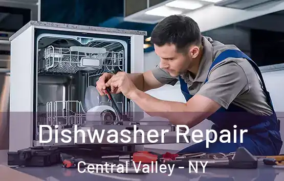  Dishwasher Repair Central Valley - NY
