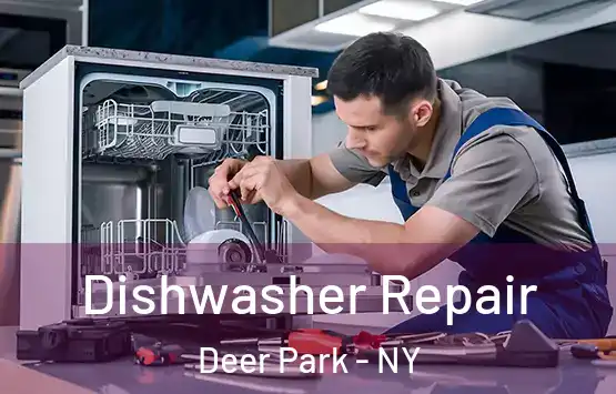  Dishwasher Repair Deer Park - NY