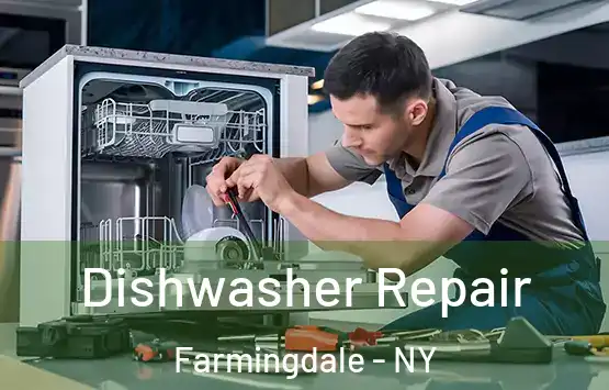  Dishwasher Repair Farmingdale - NY