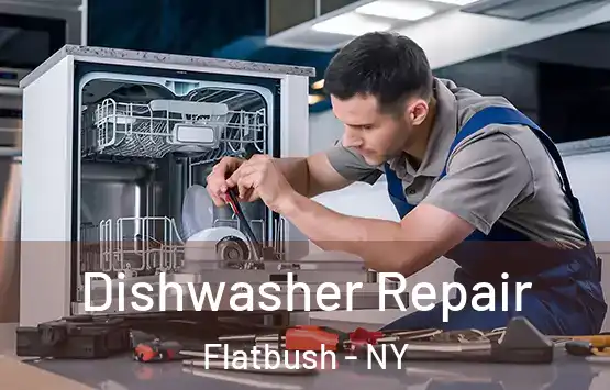  Dishwasher Repair Flatbush - NY