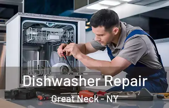  Dishwasher Repair Great Neck - NY