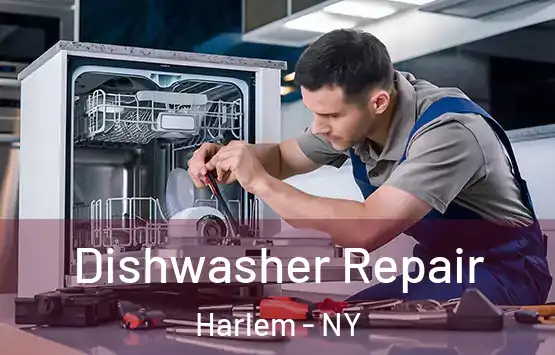  Dishwasher Repair Harlem - NY