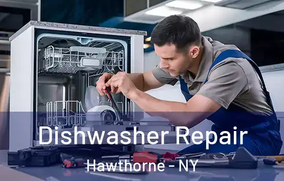  Dishwasher Repair Hawthorne - NY