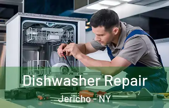  Dishwasher Repair Jericho - NY