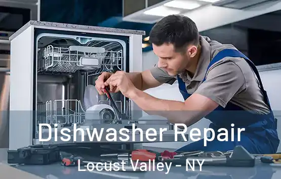  Dishwasher Repair Locust Valley - NY