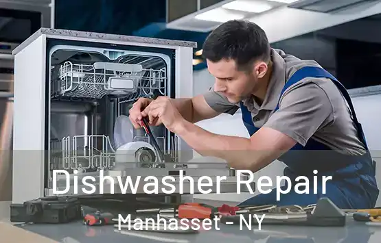  Dishwasher Repair Manhasset - NY