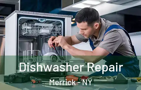  Dishwasher Repair Merrick - NY