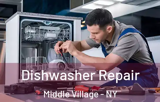  Dishwasher Repair Middle Village - NY