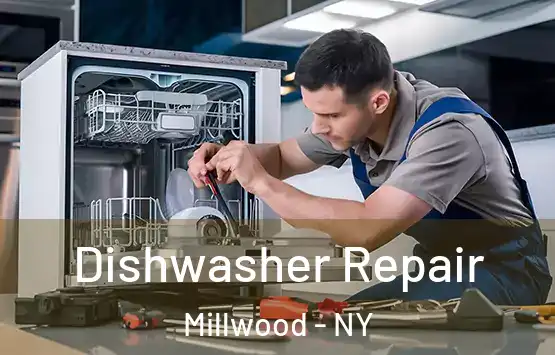  Dishwasher Repair Millwood - NY