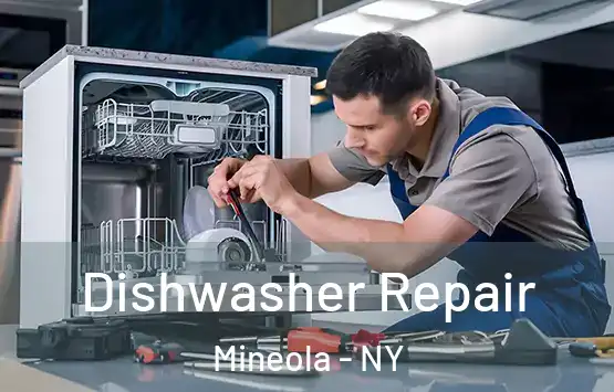  Dishwasher Repair Mineola - NY