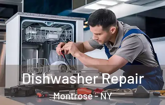  Dishwasher Repair Montrose - NY