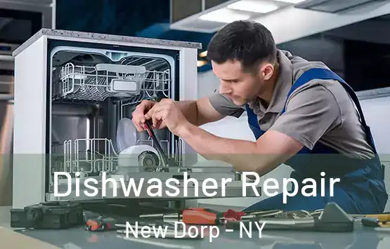  Dishwasher Repair New Dorp - NY