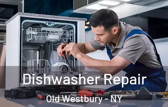  Dishwasher Repair Old Westbury - NY