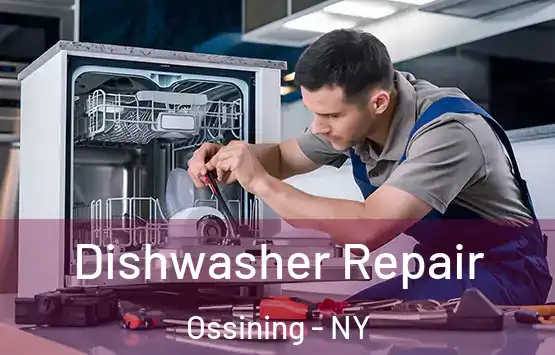  Dishwasher Repair Ossining - NY