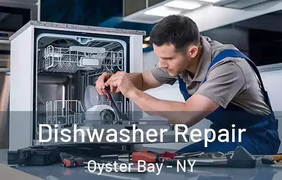  Dishwasher Repair Oyster Bay - NY