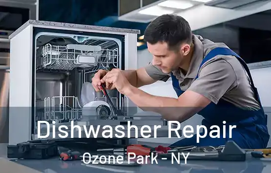  Dishwasher Repair Ozone Park - NY