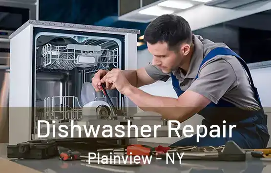  Dishwasher Repair Plainview - NY