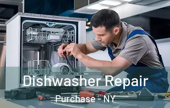  Dishwasher Repair Purchase - NY