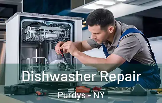  Dishwasher Repair Purdys - NY