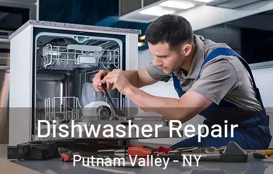  Dishwasher Repair Putnam Valley - NY