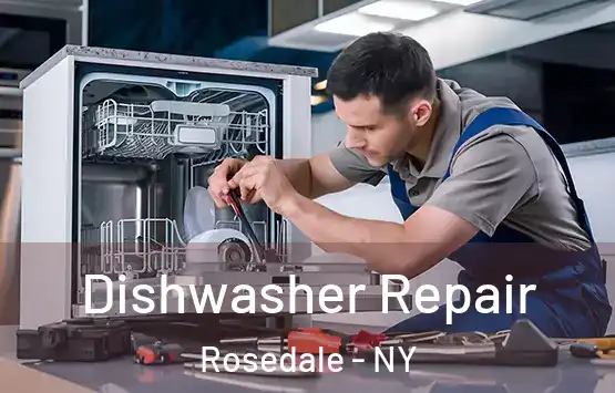  Dishwasher Repair Rosedale - NY